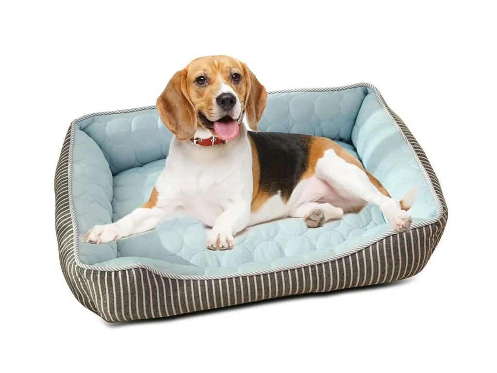 01bb4f60dec68511013f472019156d